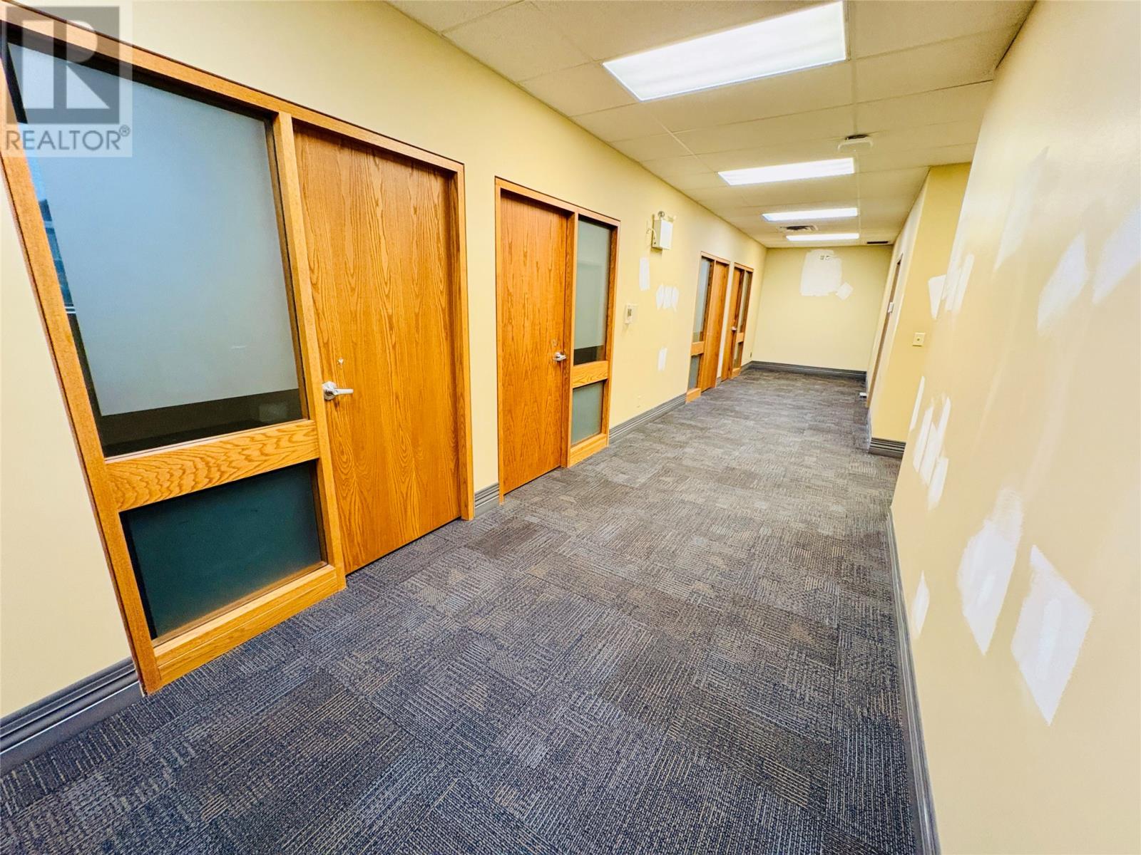 151 Crosbie Road, St. John's, Newfoundland & Labrador  A1B 4B4 - Photo 33 - 1292970