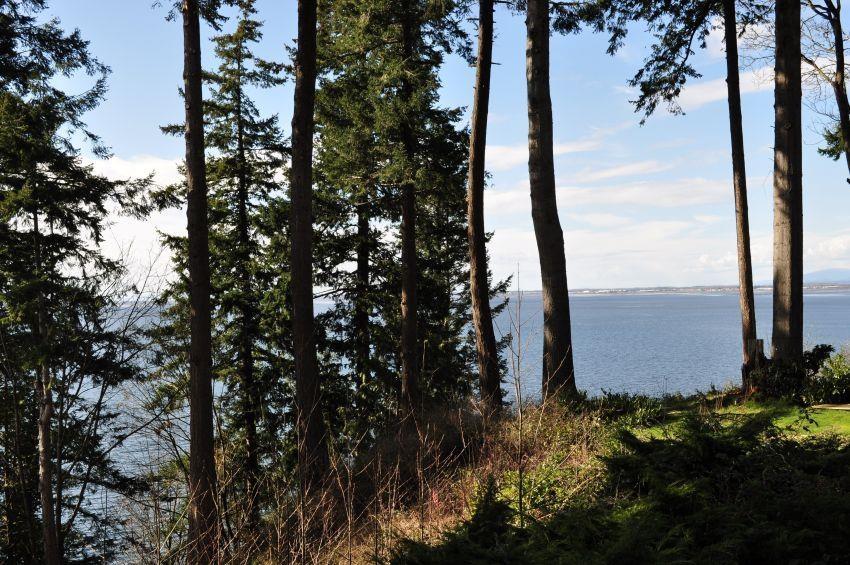 Lt.4 12585 15 Avenue, Surrey, British Columbia  V4A 1K1 - Photo 4 - R3015059