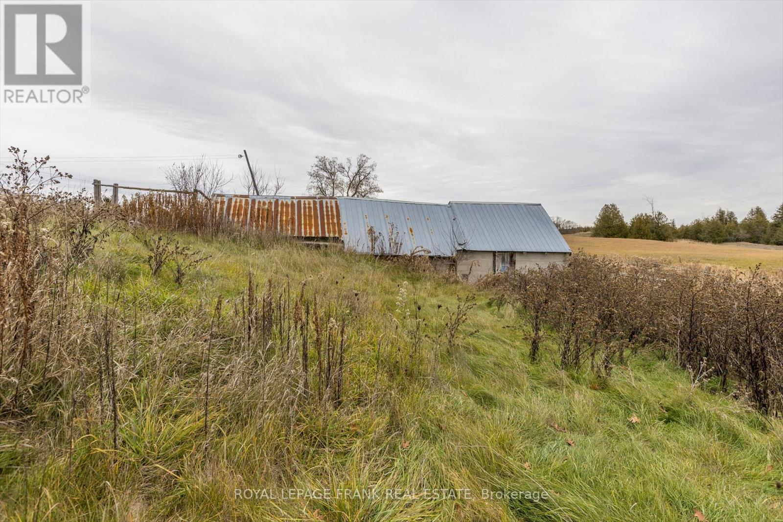 639 County Rd 4, Douro-Dummer, Ontario  K9J 6Y1 - Photo 31 - X12586024