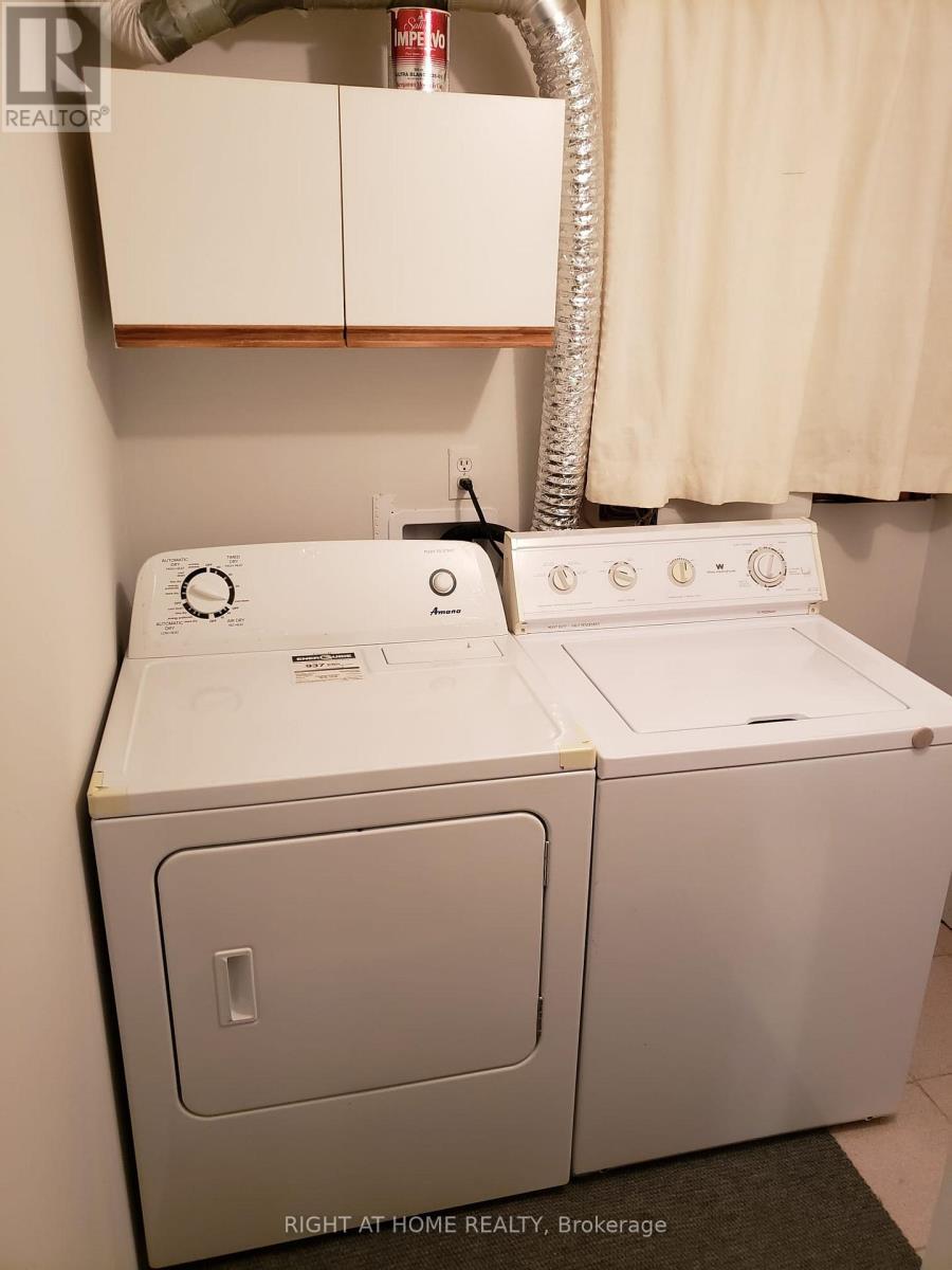 Basement - 19 Bingham Street, Richmond Hill, Ontario  L4C 8Y6 - Photo 11 - N12584636