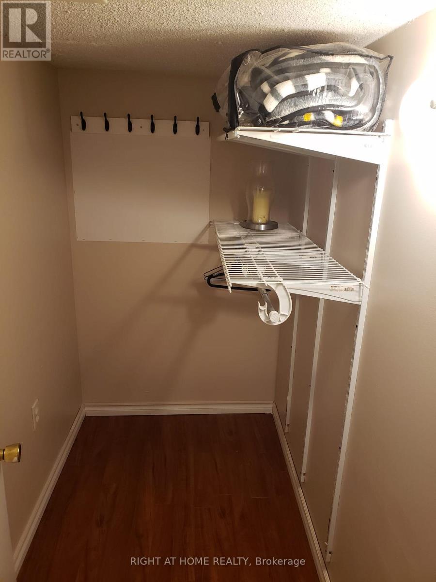 Basement - 19 Bingham Street, Richmond Hill, Ontario  L4C 8Y6 - Photo 12 - N12584636