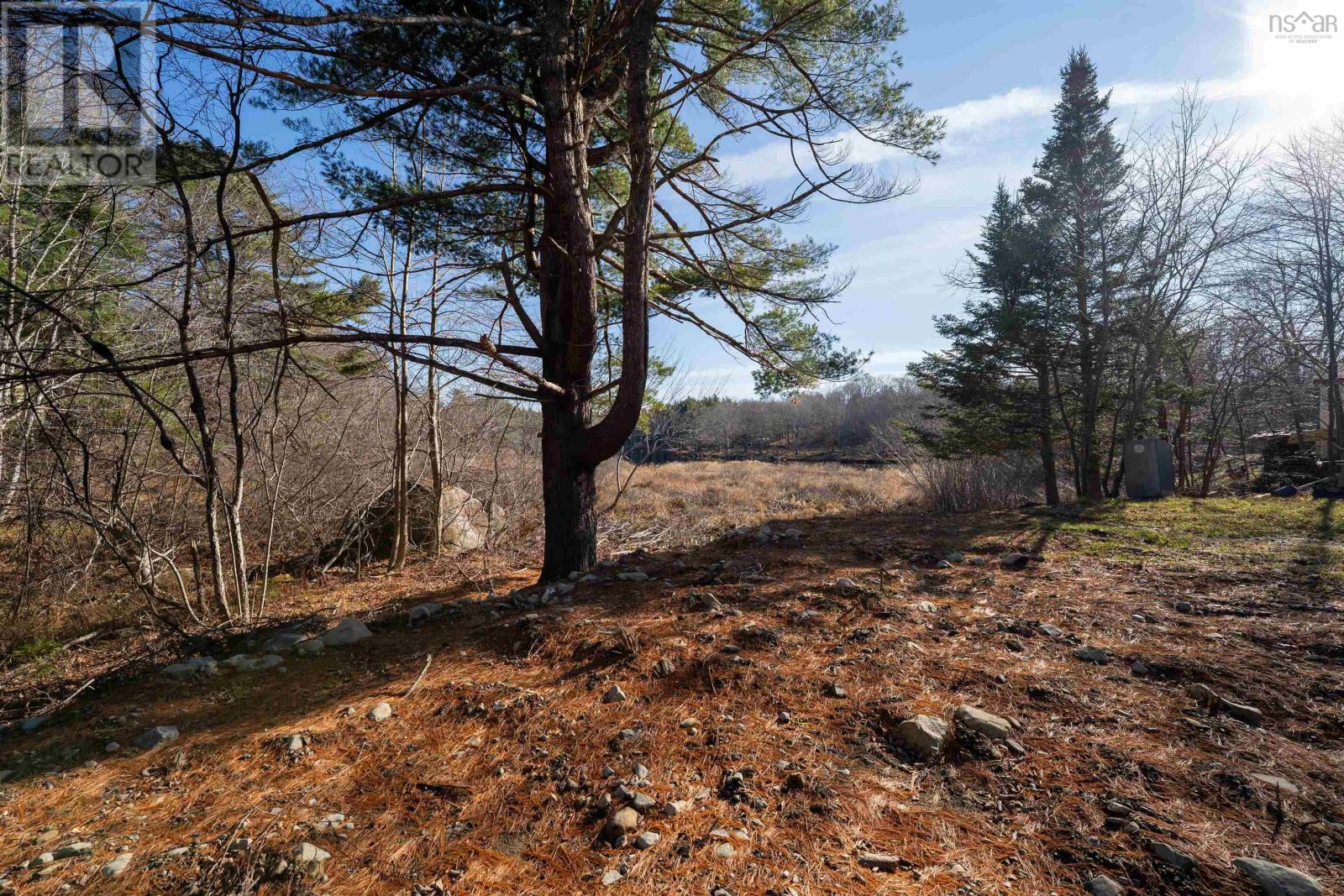 594 Medway River Road, Charleston, Nova Scotia  B0J 2H0 - Photo 8 - 202528435