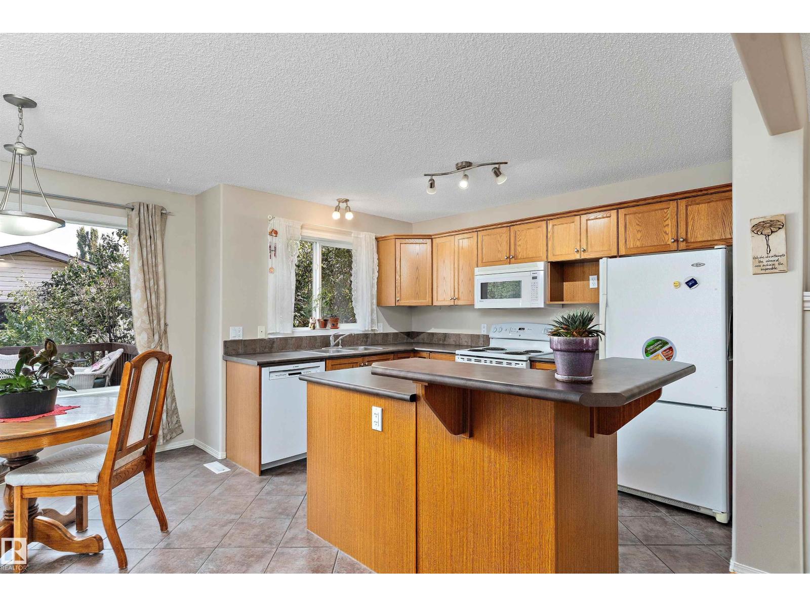 1843 122 St Sw, Edmonton, Alberta  T8N 1S3 - Photo 15 - E4466998