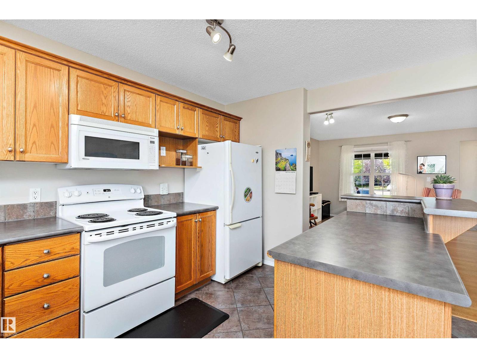 1843 122 St Sw, Edmonton, Alberta  T8N 1S3 - Photo 18 - E4466998