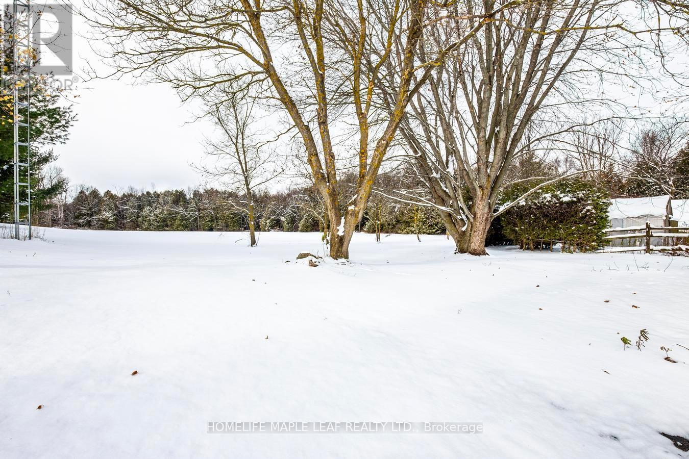 253048 9th Line, Amaranth, Ontario  L9W 0G9 - Photo 42 - X12586074