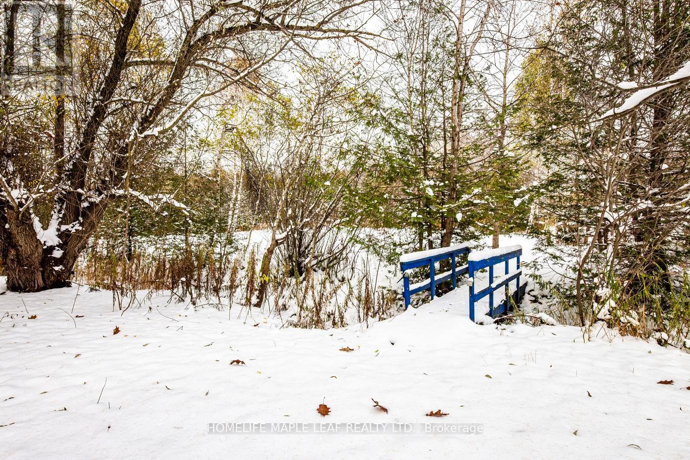 253048 9th Line, Amaranth, Ontario  L9W 0G9 - Photo 46 - X12586074