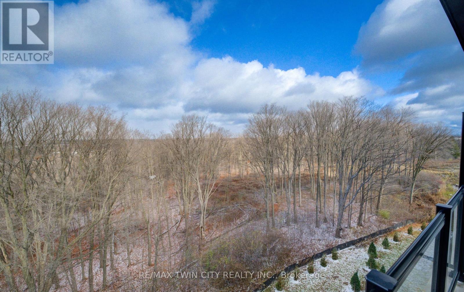 524 - 1100 Lackner Place, Kitchener, Ontario  N2A 0M1 - Photo 19 - X12586206