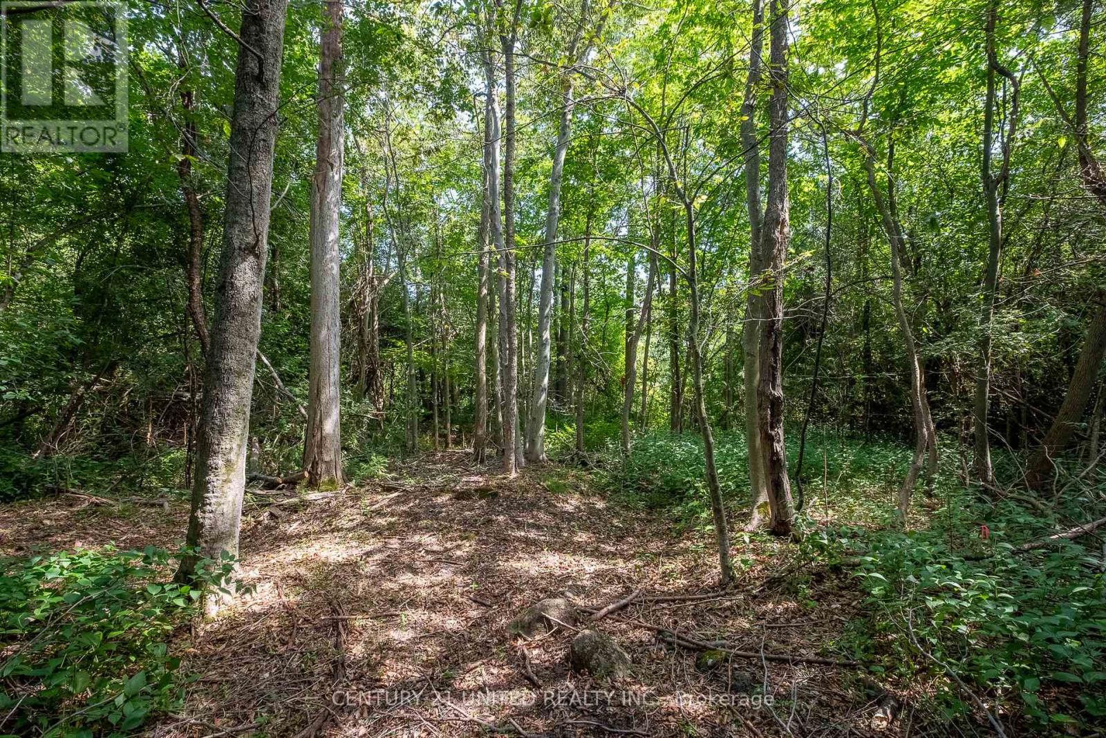 426 Gully Road, Alnwick/haldimand, Ontario K9A 4J8 - Photo 23 - X12072081