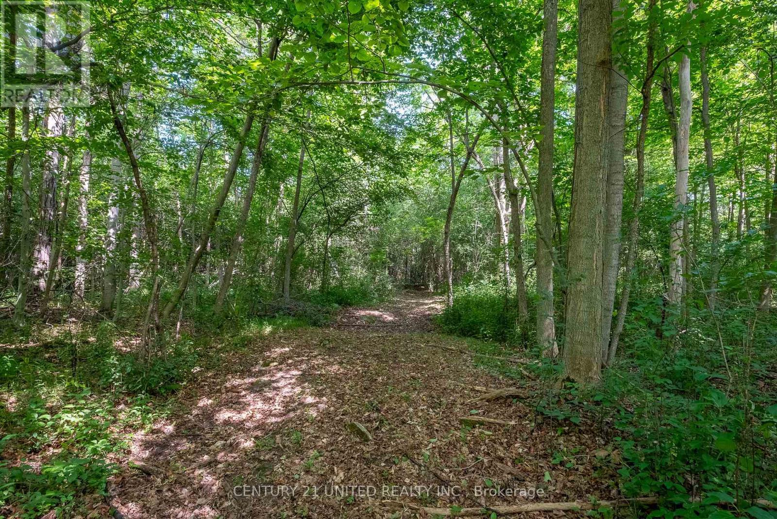 426 Gully Road, Alnwick/haldimand, Ontario K9A 4J8 - Photo 25 - X12072081