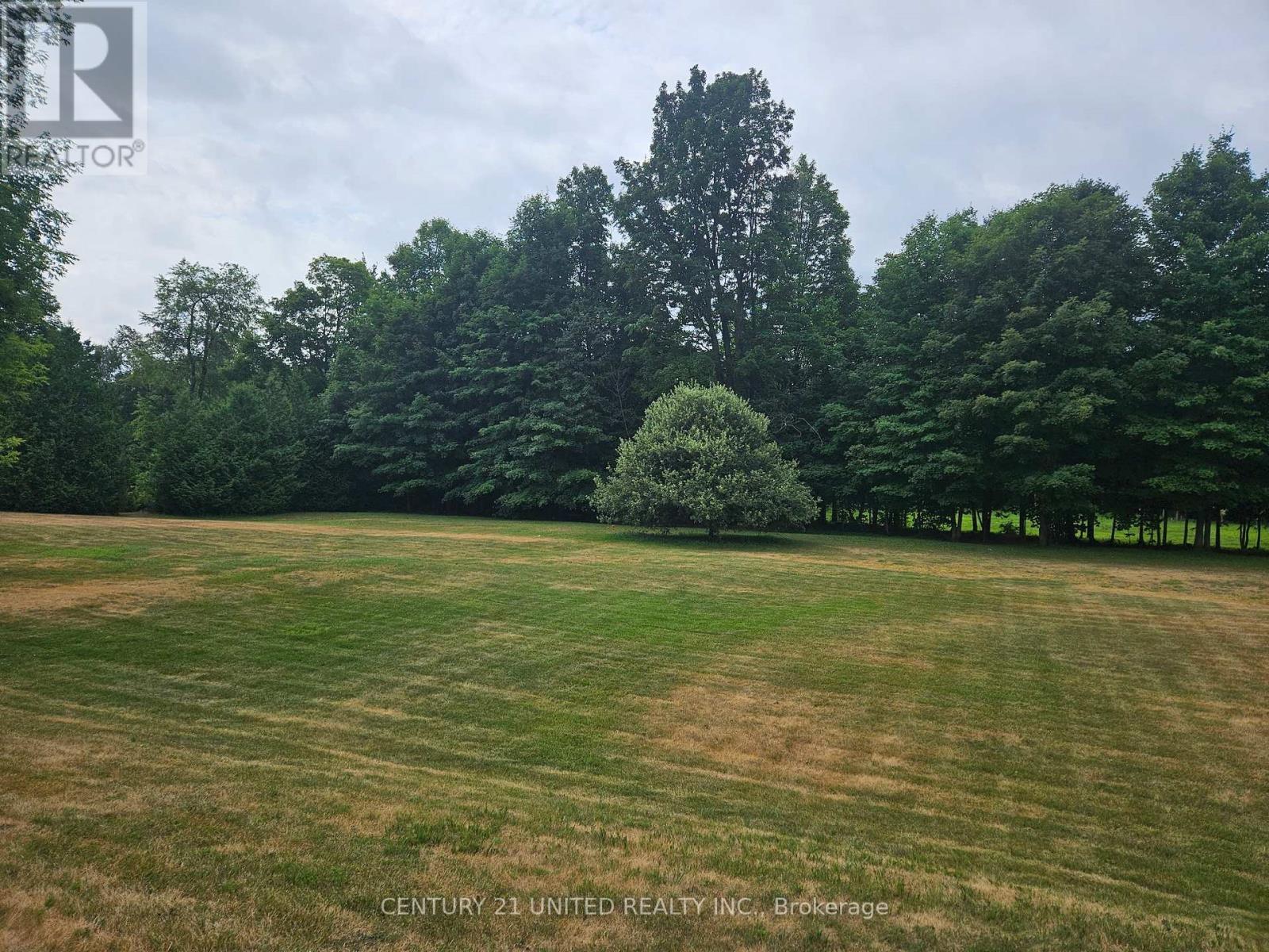 426 Gully Road, Alnwick/haldimand, Ontario K9A 4J8 - Photo 7 - X12072081