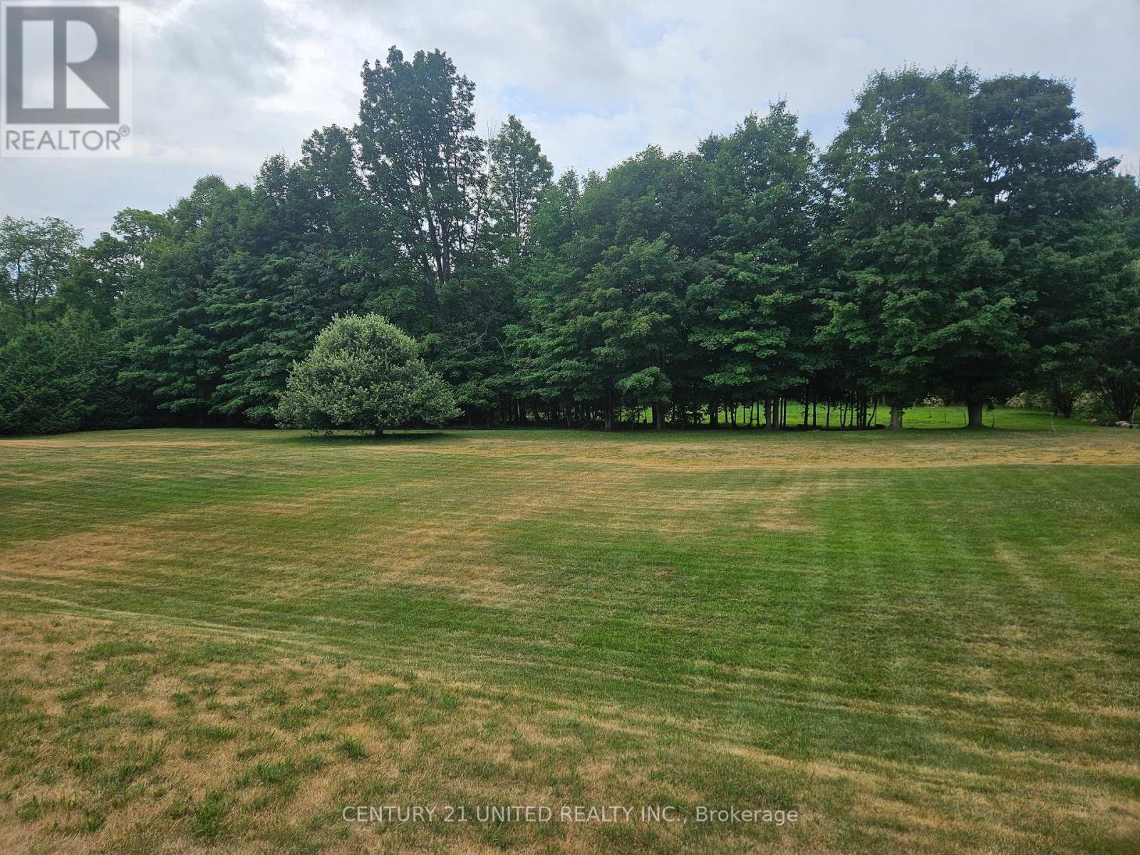 426 Gully Road, Alnwick/haldimand, Ontario K9A 4J8 - Photo 5 - X12072081