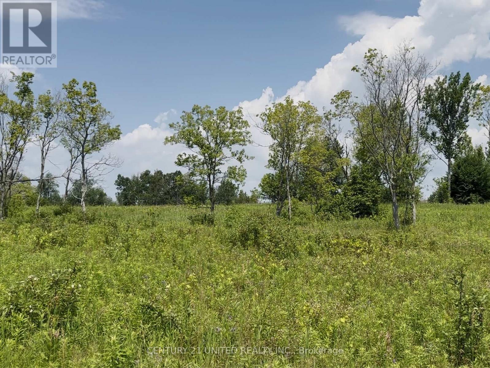 420 Victoria Beach Road, Cramahe, Ontario  K0K 1S0 - Photo 10 - X12380743