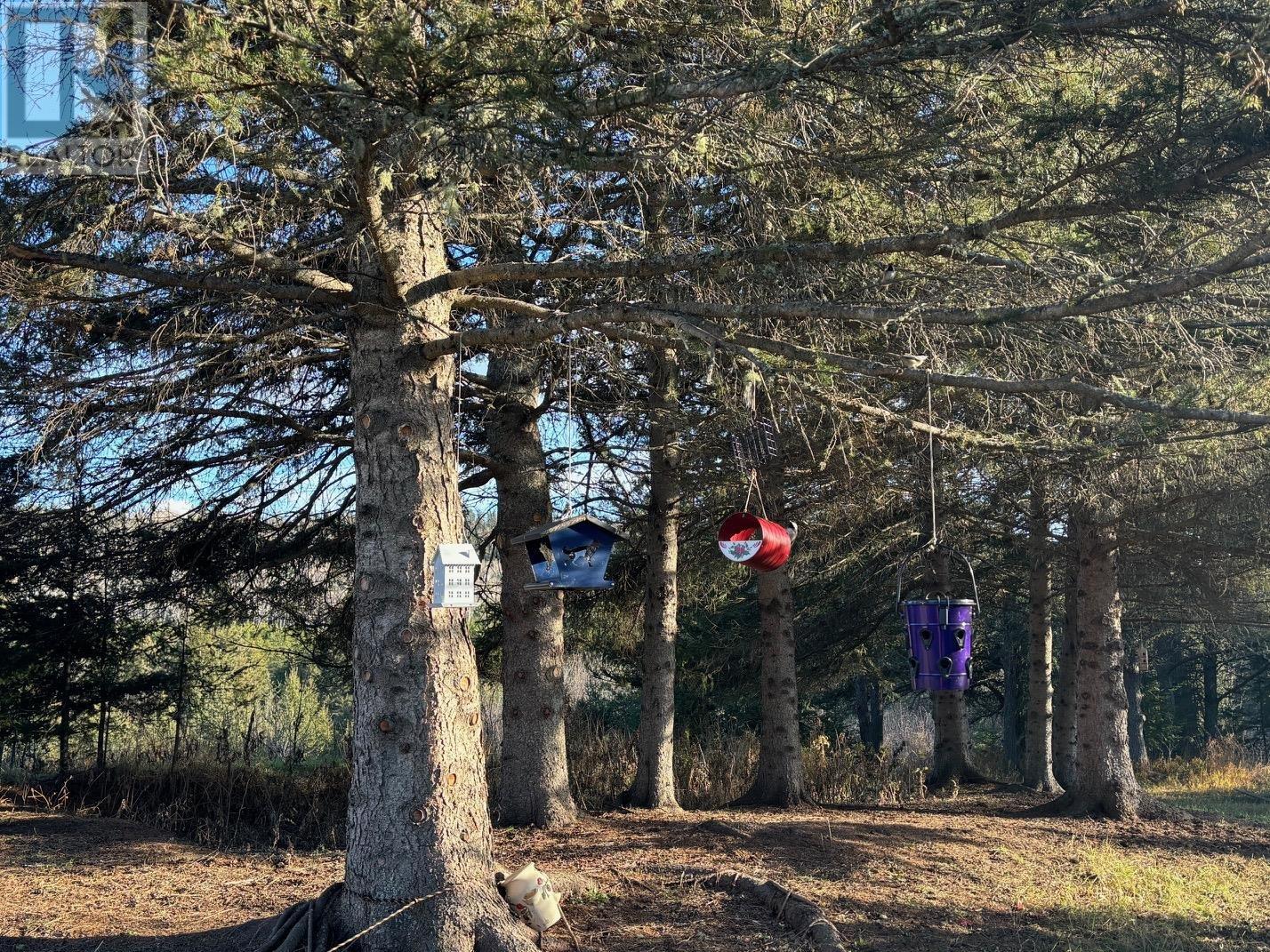 0 HWY 608, Gillies, Ontario