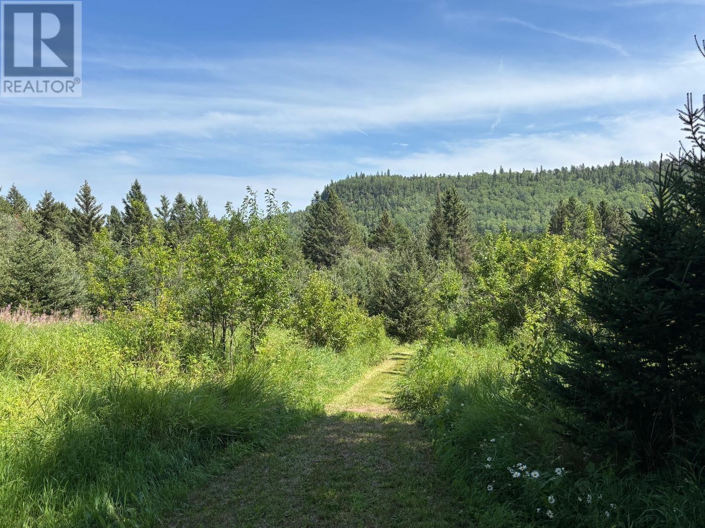 0 Hwy 608, Gillies, Ontario  P0T 2V0 - Photo 13 - TB253580