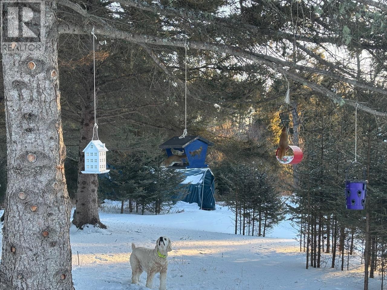 0 Hwy 608, Gillies, Ontario  P0T 2V0 - Photo 19 - TB253580