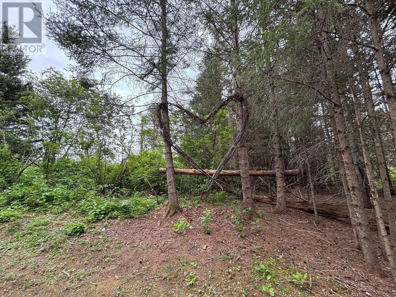 0 Hwy 608, Gillies, Ontario  P0T 2V0 - Photo 2 - TB253580