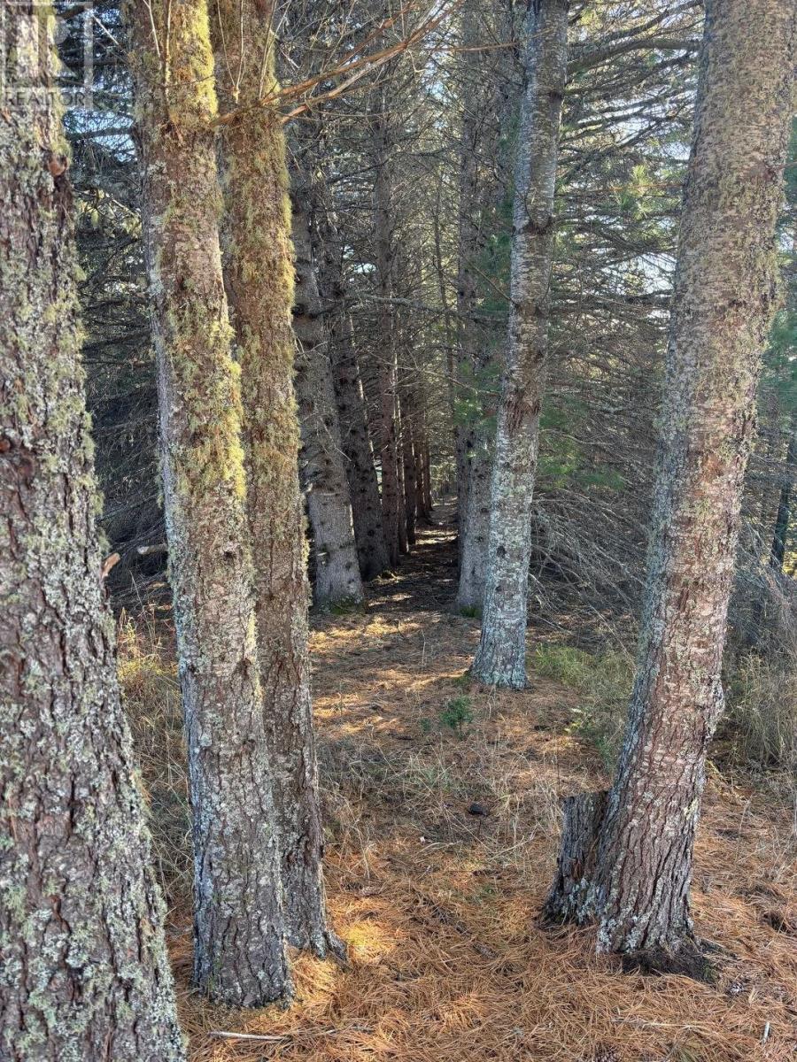 0 Hwy 608, Gillies, Ontario  P0T 2V0 - Photo 4 - TB253580