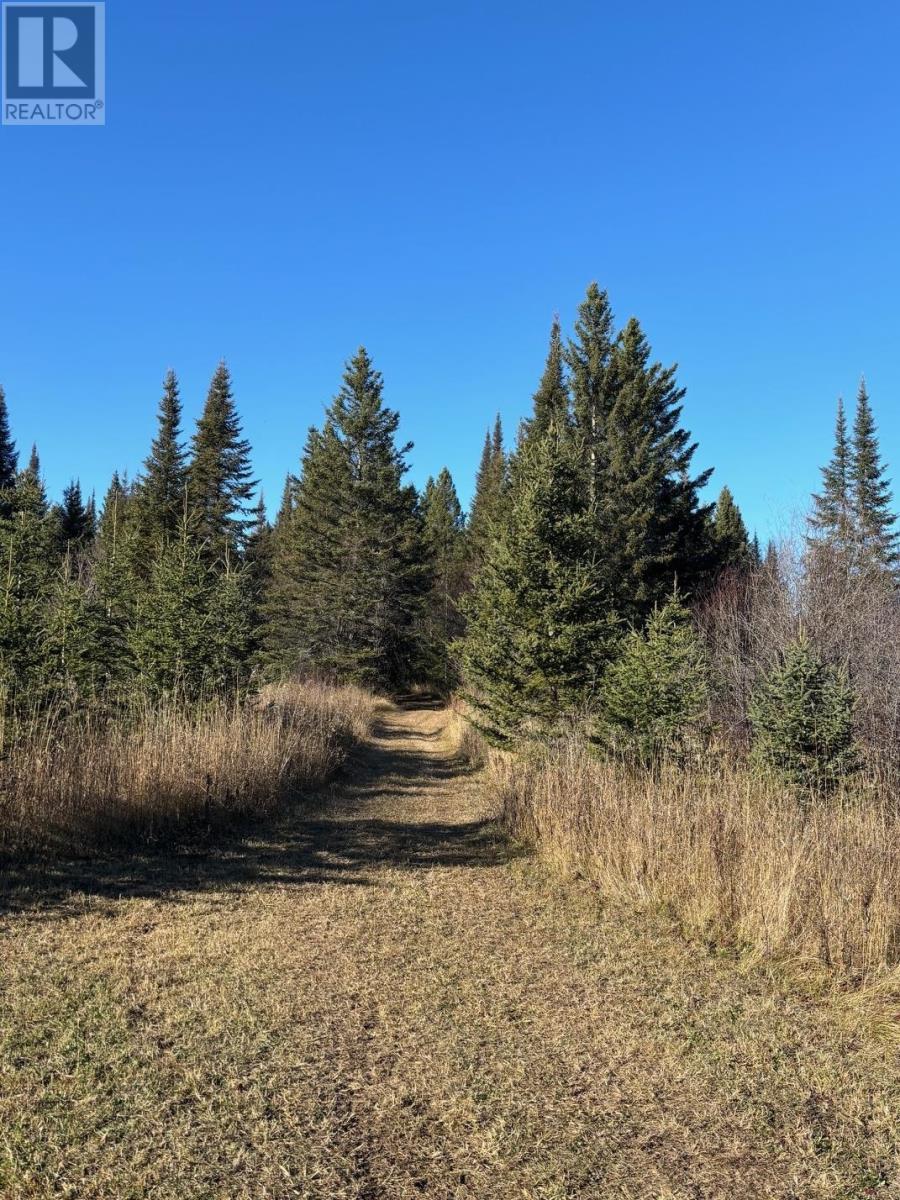 0 Hwy 608, Gillies, Ontario  P0T 2V0 - Photo 5 - TB253580