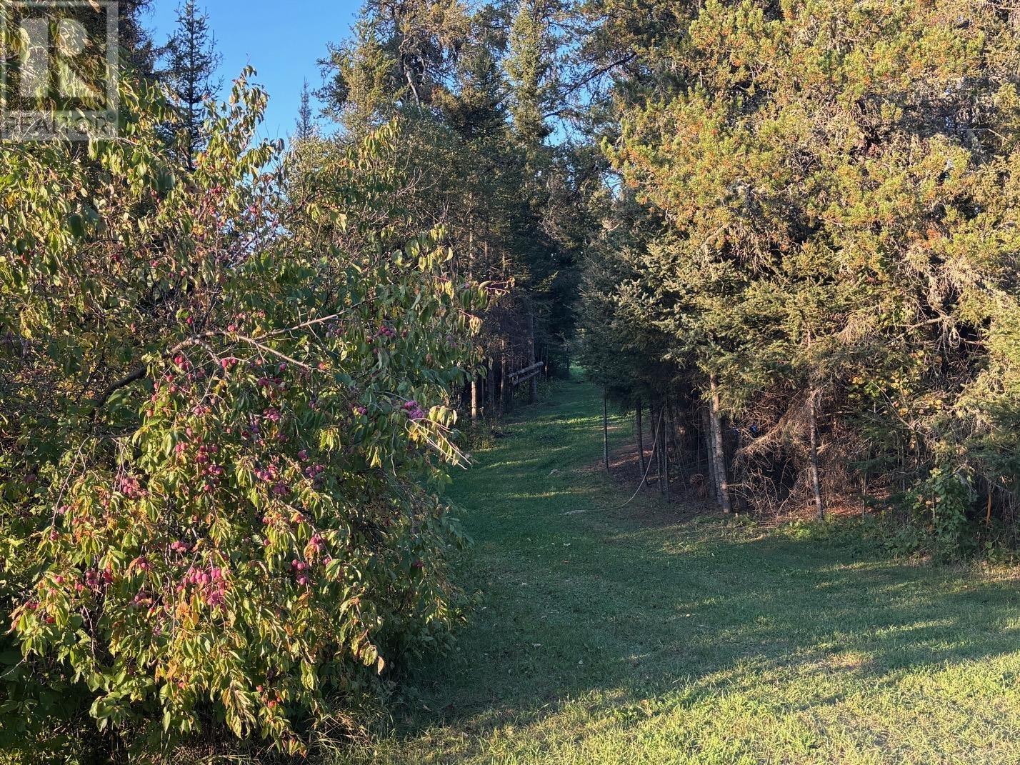 0 Hwy 608, Gillies, Ontario  P0T 2V0 - Photo 9 - TB253580