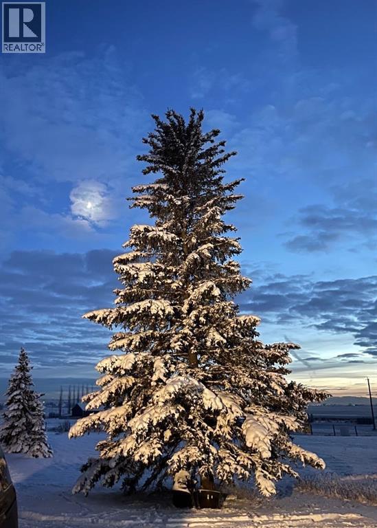 119016 273 Avenue E, Rural Foothills County, Alberta  T1S 4G3 - Photo 4 - A2268352