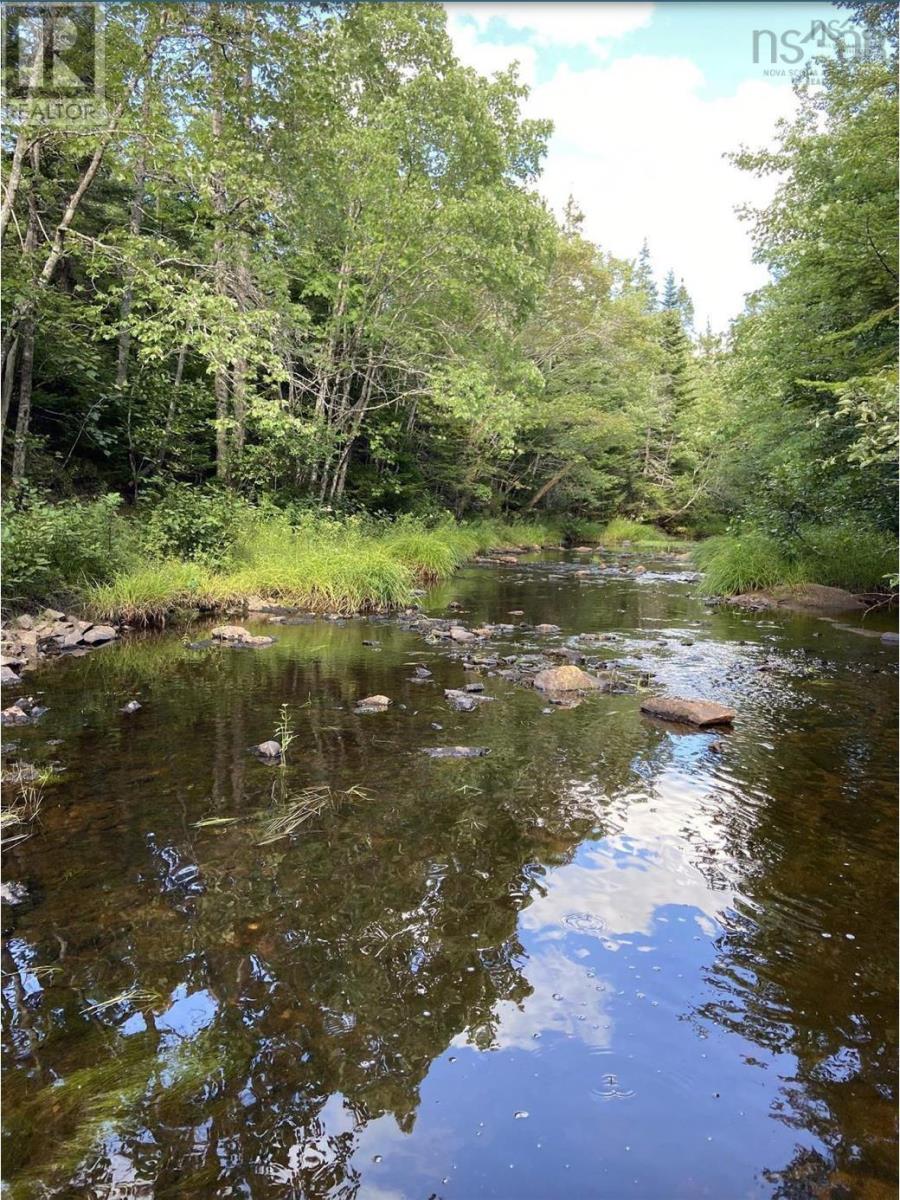 Lot No. 4 Highway, River Bourgeois, Nova Scotia  B0E 2X0 - Photo 11 - 202523061