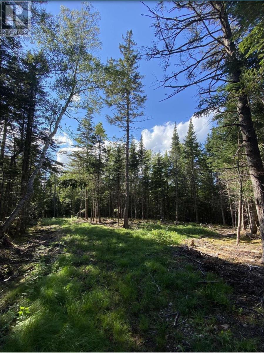 Lot No. 4 Highway, River Bourgeois, Nova Scotia  B0E 2X0 - Photo 7 - 202523061