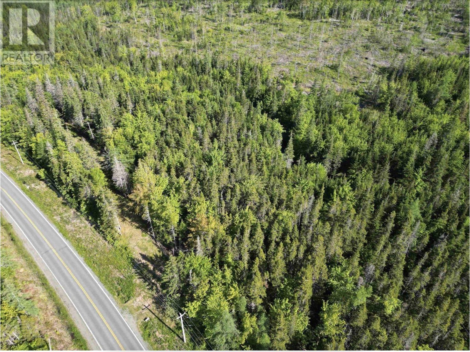 Lot No. 4 Highway, River Bourgeois, Nova Scotia  B0E 2X0 - Photo 12 - 202523061