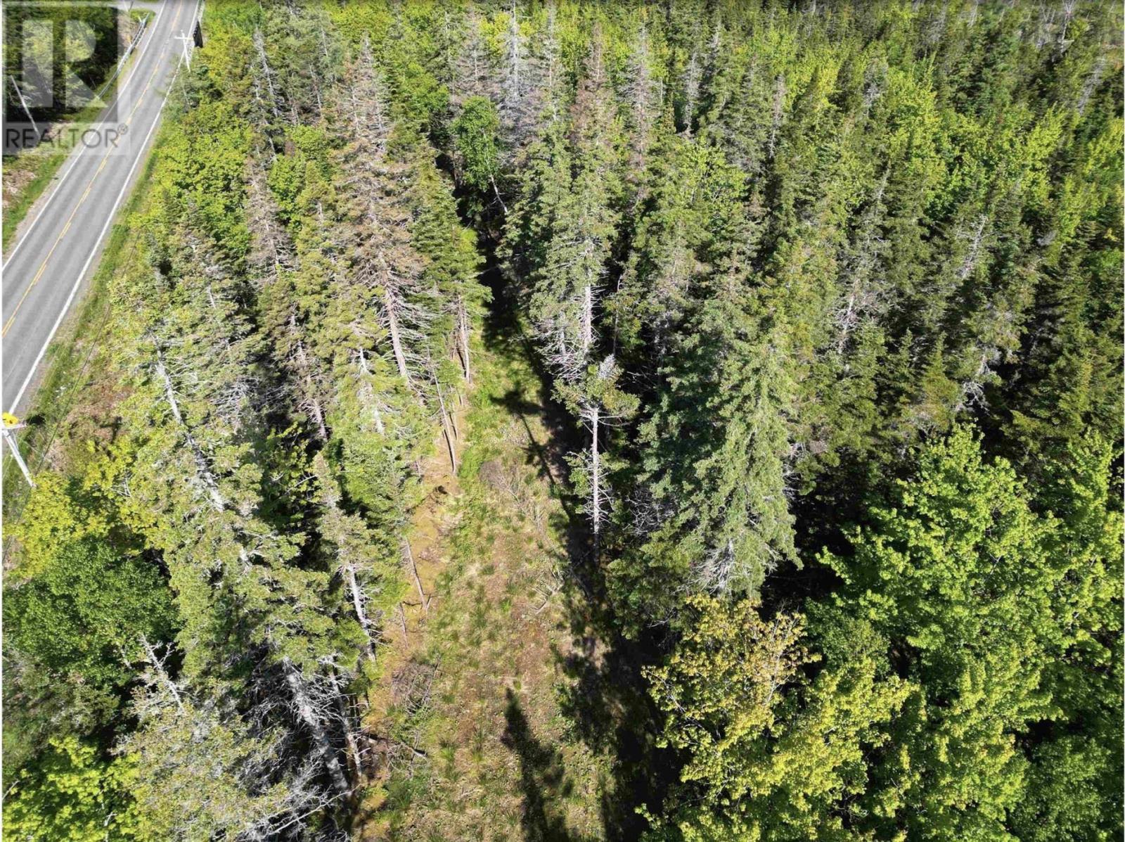 Lot No. 4 Highway, River Bourgeois, Nova Scotia  B0E 2X0 - Photo 6 - 202523061