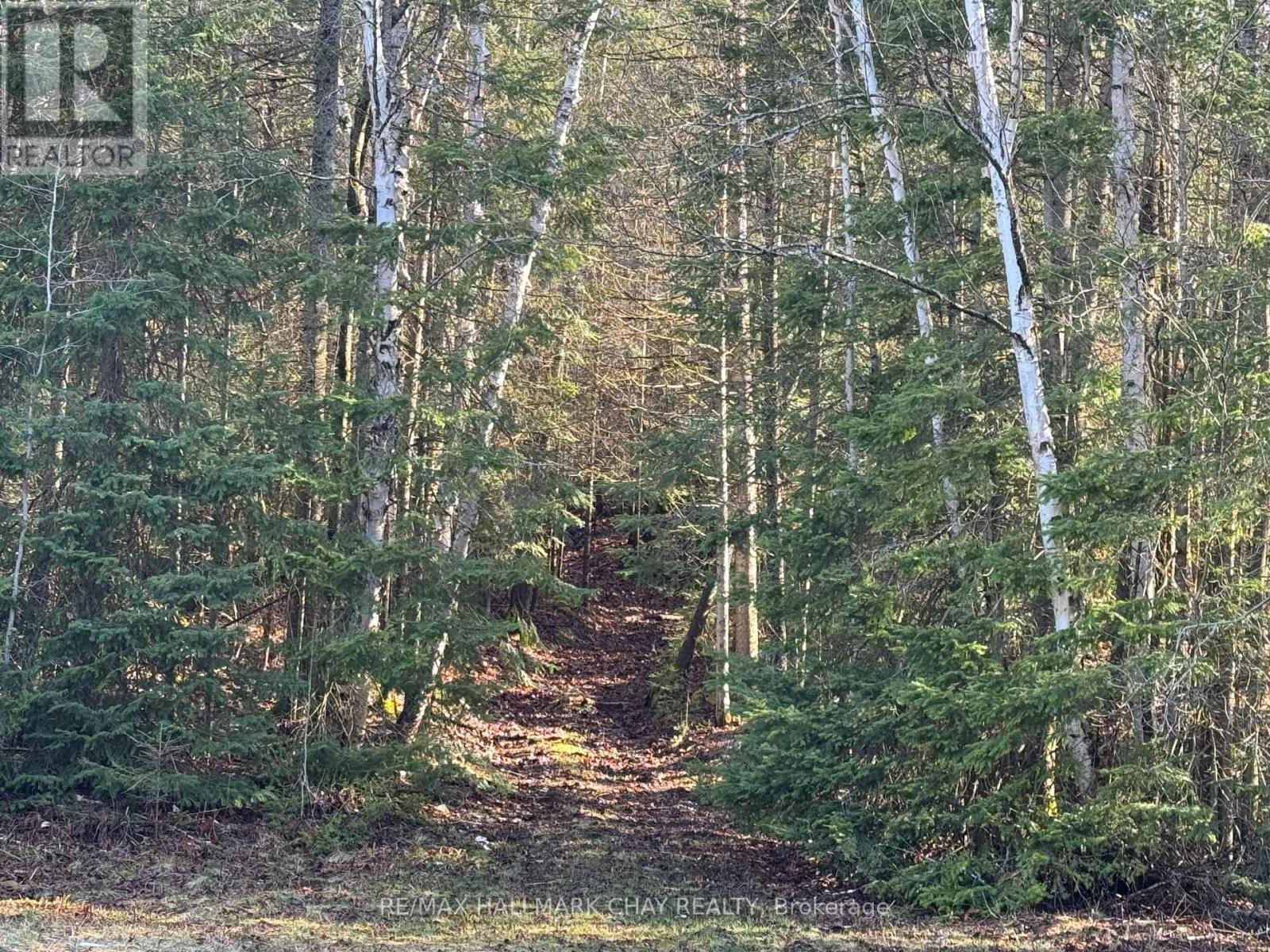 2318 Pickerel & Jack Lake Road, Armour, Ontario  P0A 1C0 - Photo 14 - X12570930