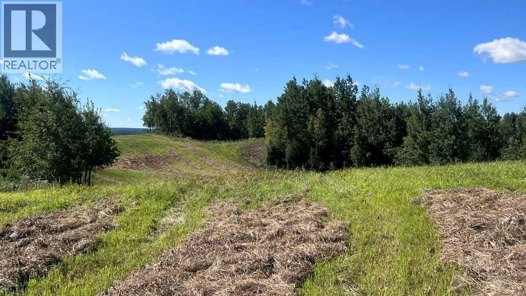 Sw 21-43-1 W5, Rural Ponoka County, Alberta  T0C 2J0 - Photo 24 - A2249647