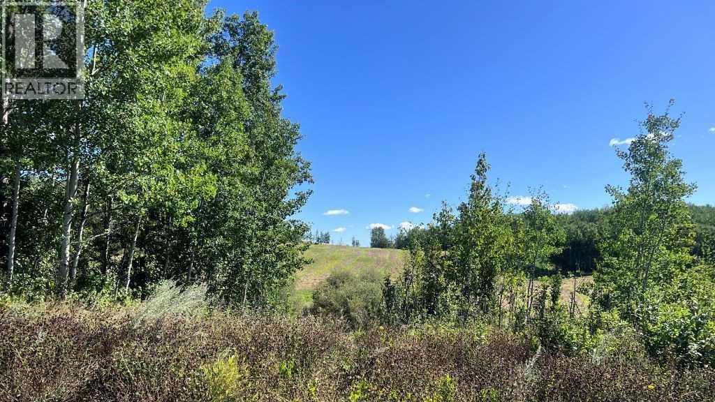 Sw 21-43-1 W5, Rural Ponoka County, Alberta  T0C 2J0 - Photo 14 - A2249647