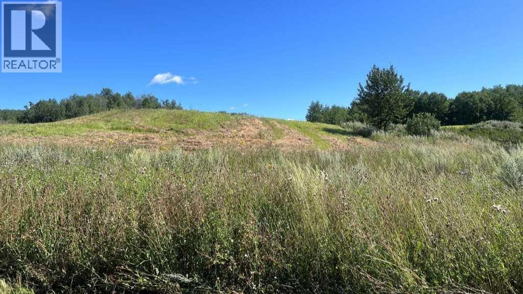 Sw 21-43-1 W5, Rural Ponoka County, Alberta  T0C 2J0 - Photo 13 - A2249647