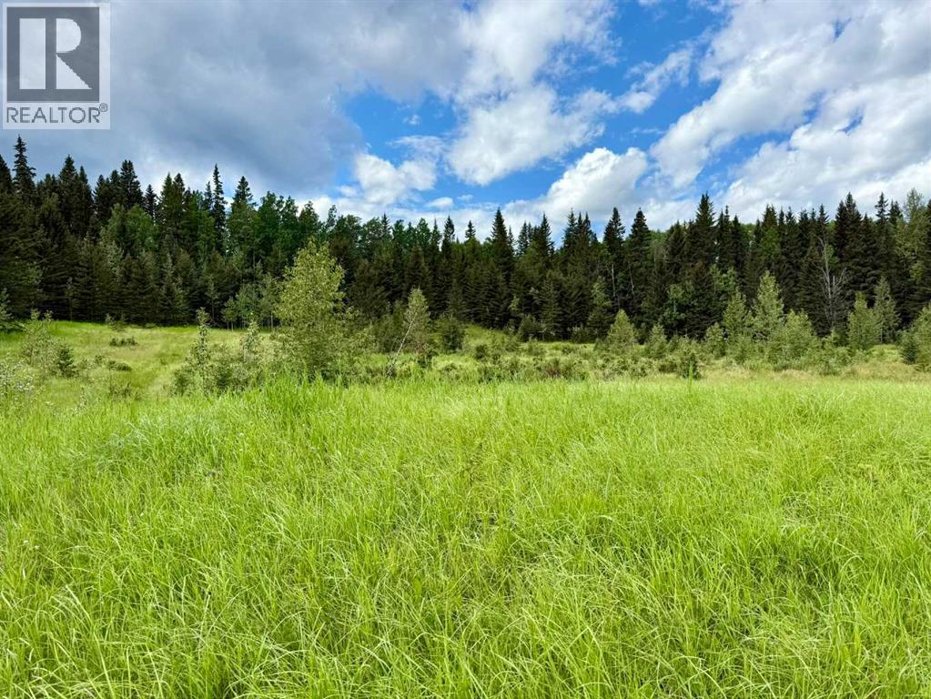 30108 Range Road 55, Rural Mountain View County, Alberta  T0M 2E0 - Photo 47 - A2237789