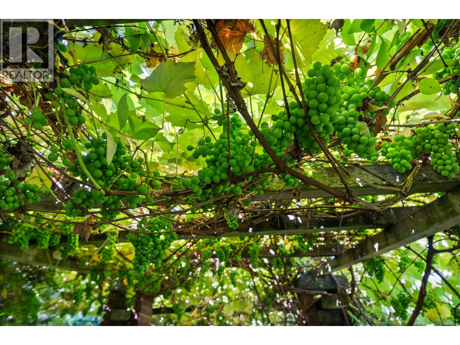 2206 Sw Marine Drive, Vancouver, British Columbia  V6P 6C2 - Photo 39 - R3047432