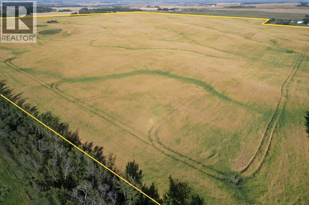 25507 Highway 12, Rural Lacombe County, Alberta  T0C 0Y0 - Photo 24 - A2262137