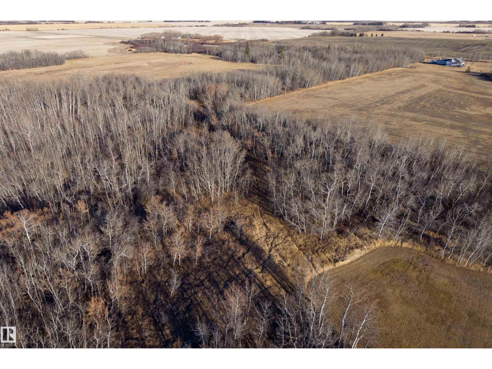 26110 Twp Road 554, Rural Sturgeon County, Alberta  T8R 0M5 - Photo 59 - E4467033