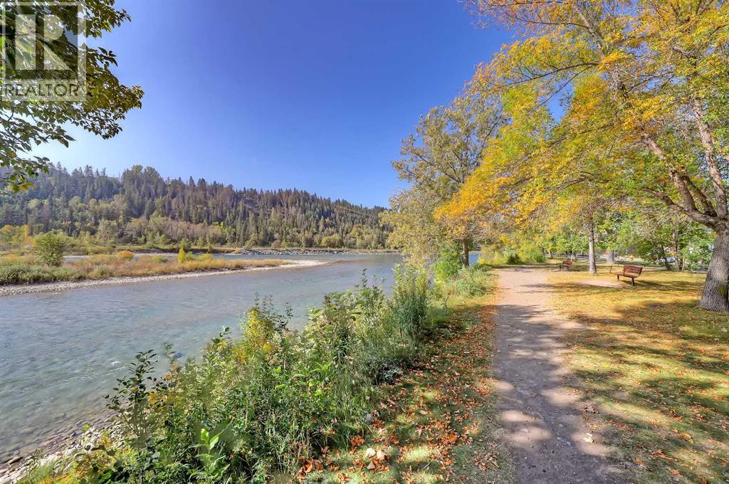 933 29 Street Nw, Calgary, Alberta  T2N 2T6 - Photo 45 - A2257991