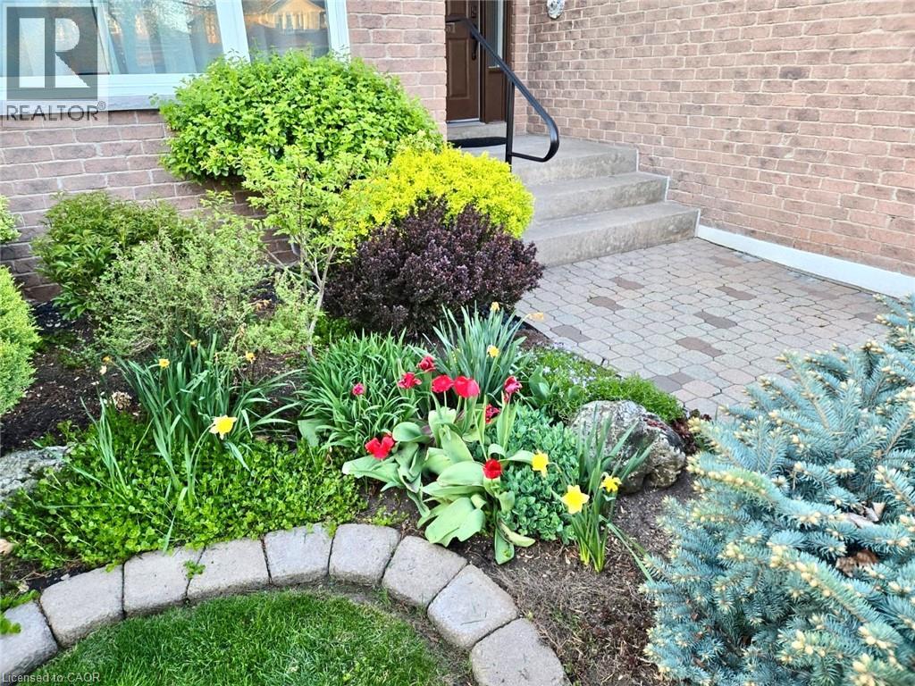 223 River Oaks Boulevard W, Oakville, Ontario  L6H 3V2 - Photo 3 - 40775630