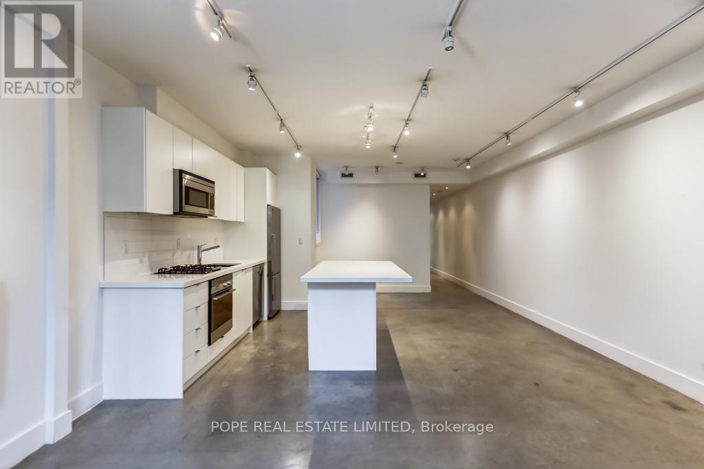 Lower - 95 Major Street, Toronto, Ontario  M5S 2K9 - Photo 8 - C12587216