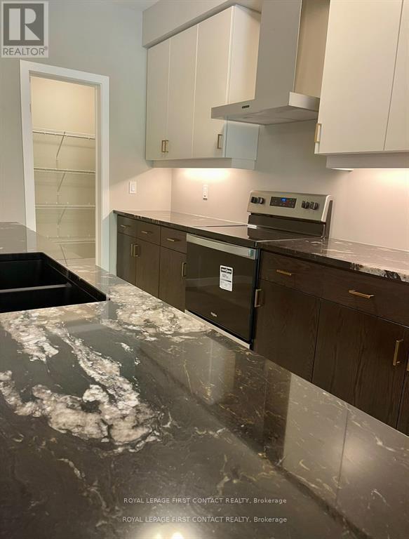 924 Robert Ferrie Drive, Kitchener, Ontario  N2R 1P2 - Photo 13 - X12587338