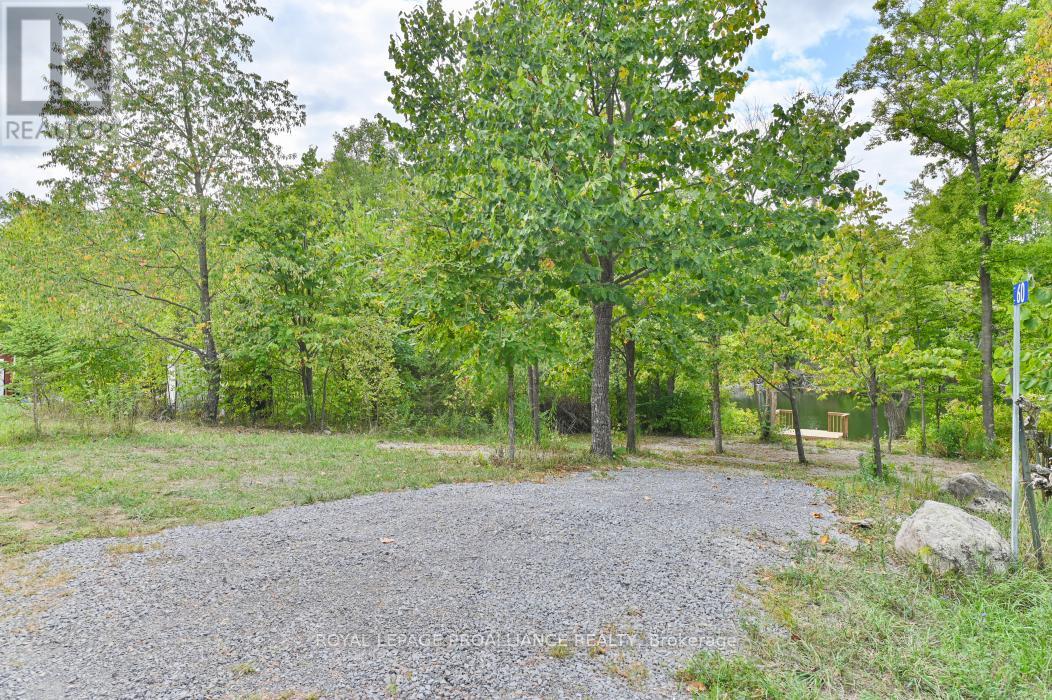 60 Birch Lane, Tweed, Ontario  K0K 3J0 - Photo 1 - X12587454