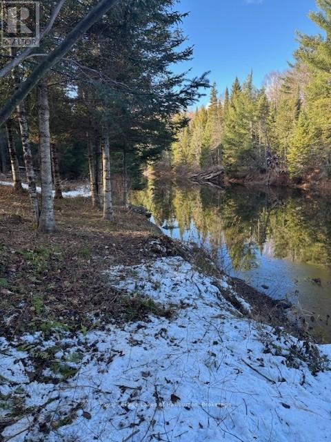 1880 Boldts Lane, Minden Hills, Ontario K0M 2A1 - Photo 47 - X12403929