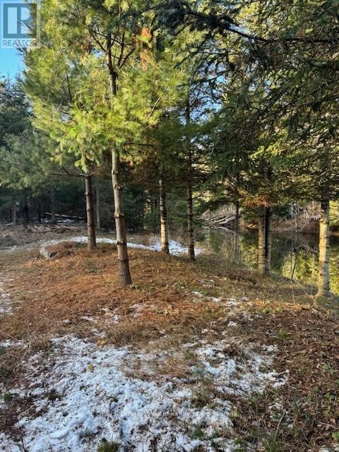 1880 Boldts Lane, Minden Hills, Ontario K0M 2A1 - Photo 48 - X12403929