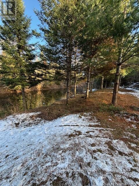 1880 Boldts Lane, Minden Hills, Ontario K0M 2A1 - Photo 46 - X12403929