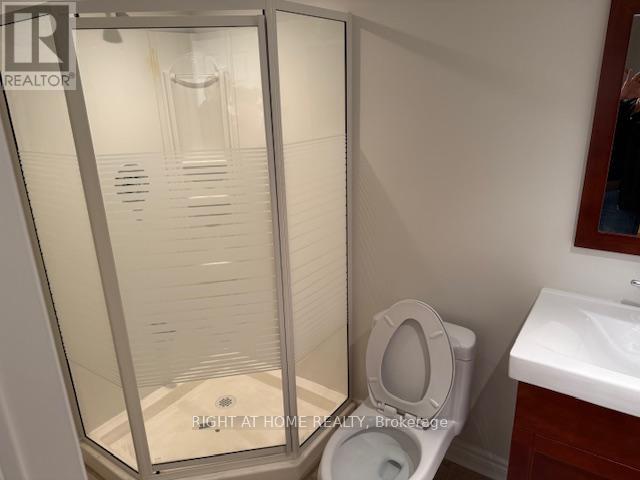 Basement - 5322 Lismic Boulevard, Mississauga (East Credit), Ontario  L5V 1P5 - Photo 12 - W12550094