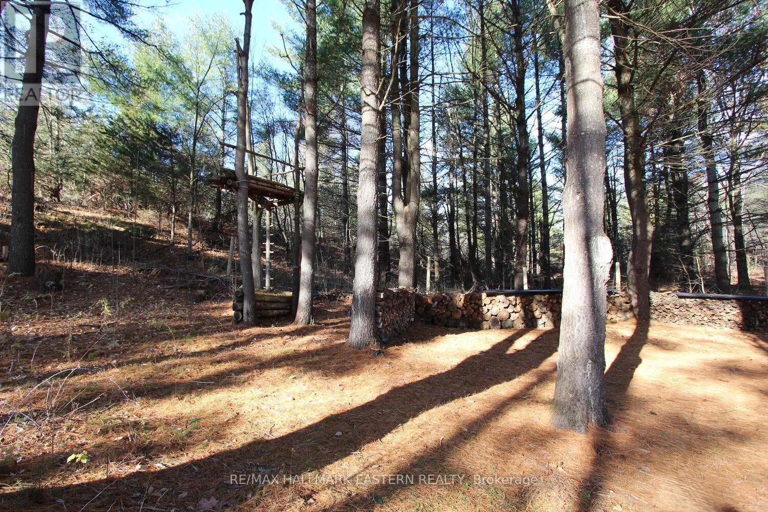 20 Blairton Tent & Trailer Park Road, Havelock-Belmont-Methuen, Ontario  K0L 1Z0 - Photo 36 - X12579272