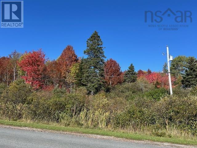 Lot 2b Big Baddeck Road, Baddeck, Nova Scotia  B0E 1B0 - Photo 4 - 202525830