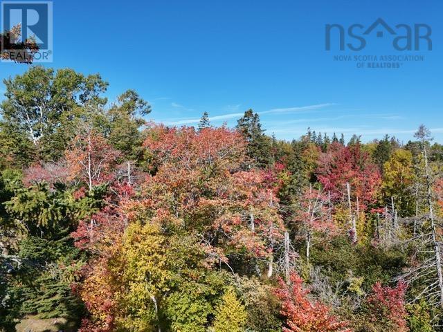 Lot 2b Big Baddeck Road, Baddeck, Nova Scotia  B0E 1B0 - Photo 8 - 202525830