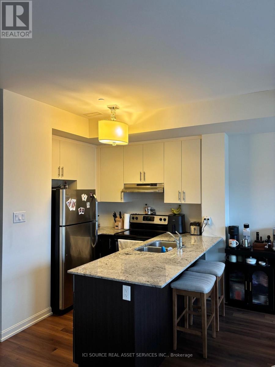 308 - 487 Queen Street, Newmarket, Ontario L3Y 2H3 - Photo 5 - N12587674