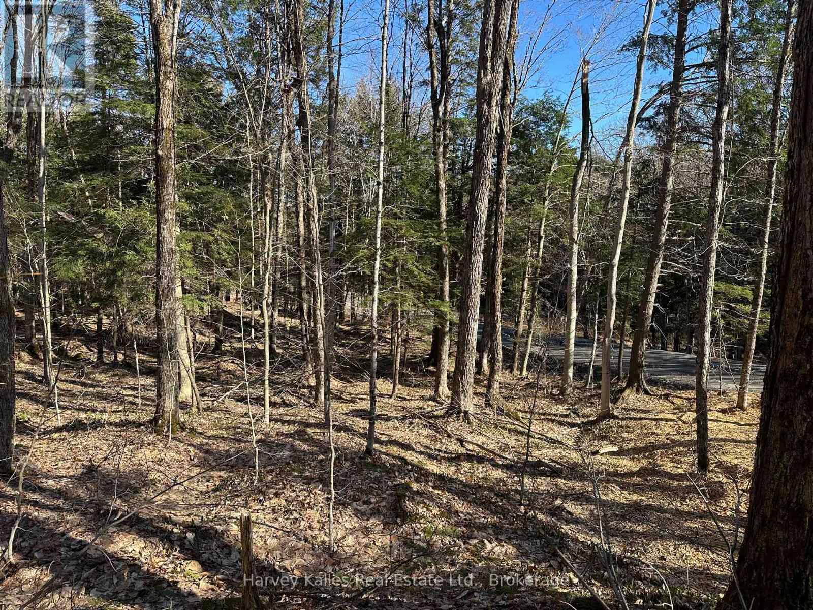 Con 1 Pt Lot 12 Barlochan Road, Muskoka Lakes, Ontario  P1P 1R2 - Photo 20 - X12113749
